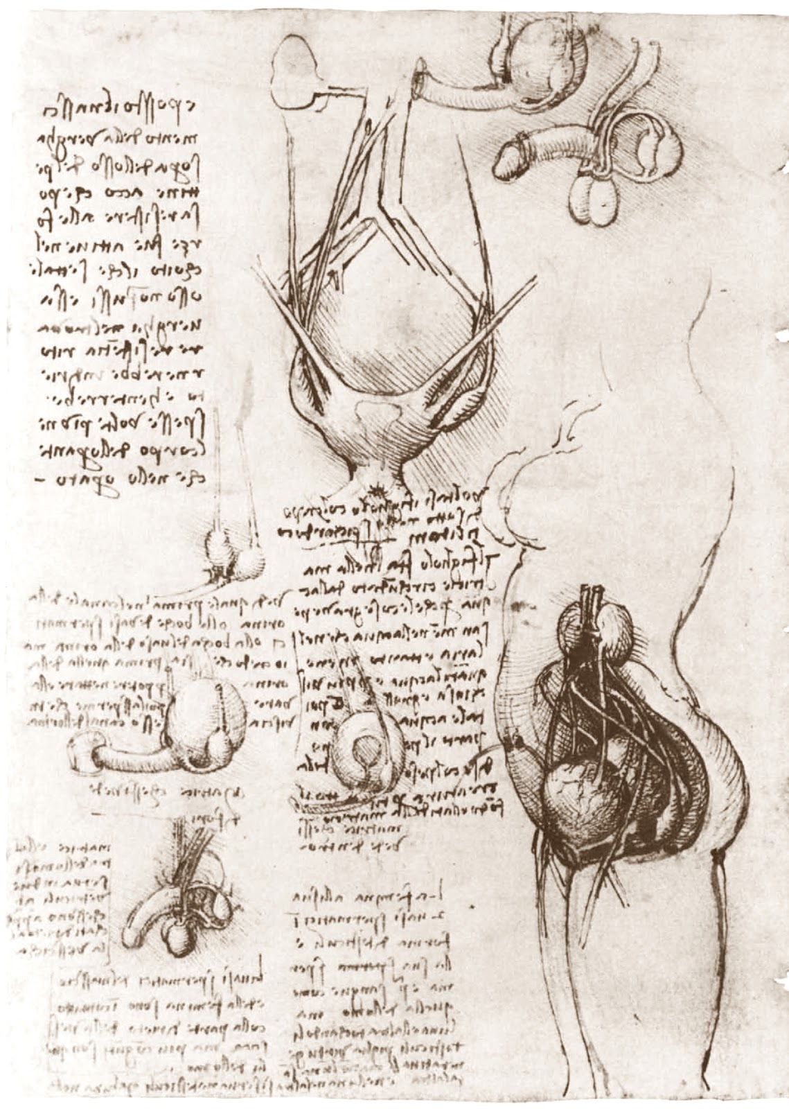 Leonardo+da+Vinci-1452-1519 (775).jpg
